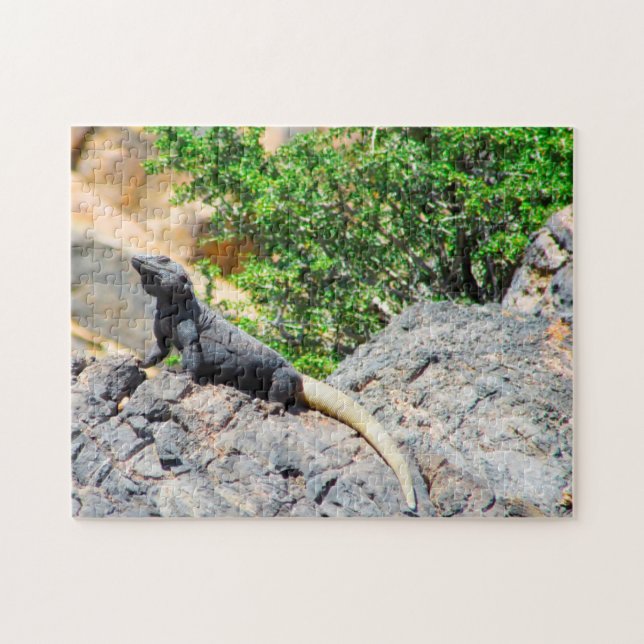 Desert Lizard Nevada. Puzzle (Horizontal)