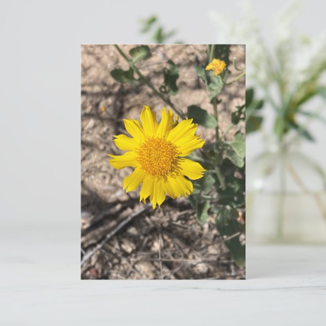 Desert Marigold Dankeskarte (Stehend Vorderseite)
