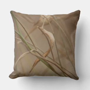 Desert Milkweed Pods Kissen