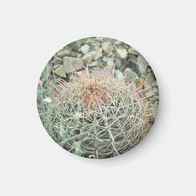 Desert Poetry Cactus Kühlschrank Gift Magnet (Vorne)