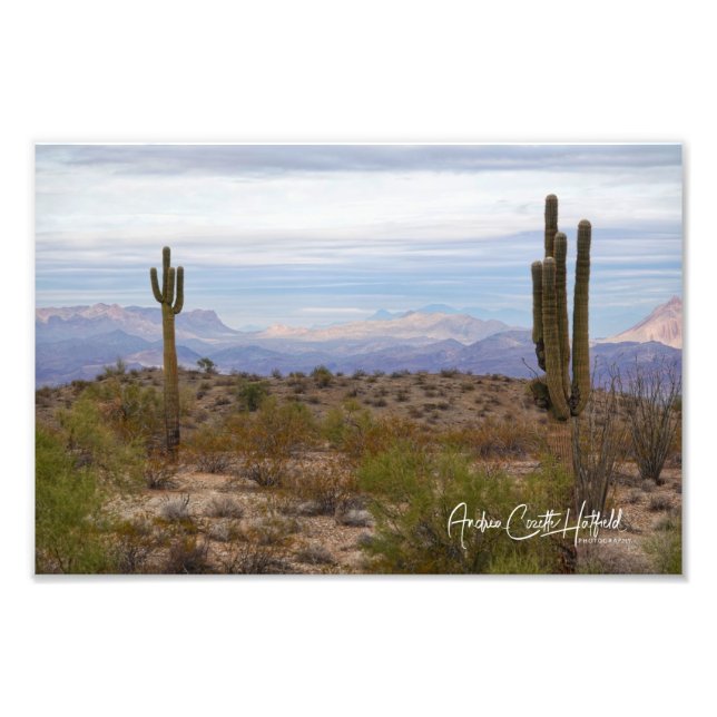Desert Saguaro Fotodruck (Vorne)