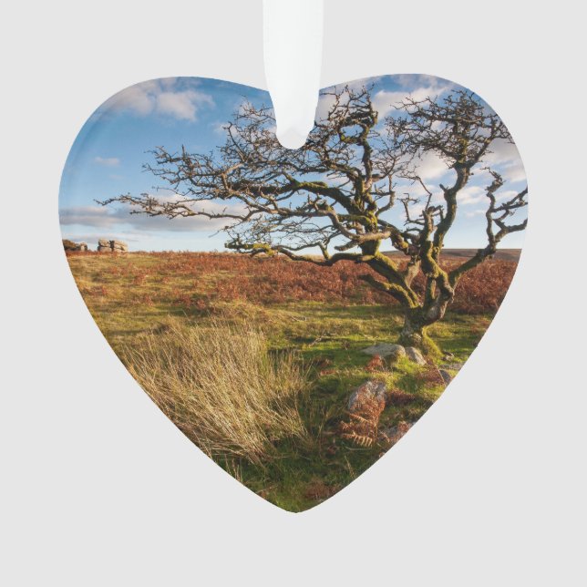 Desert Savannah Dated Foto Custom Ornament (Vorderseite)