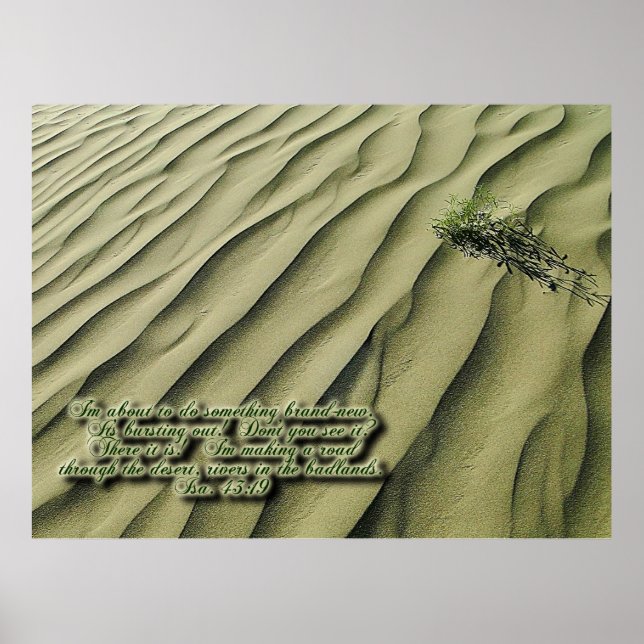 Desert Scripting Inspiration Poster (Vorne)