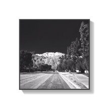 Desert Snow-Rancho Mirage, CA, von Tom Masters