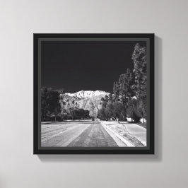 Desert Snow-Rancho Mirage, CA, von Tom Masters Leinwanddruck