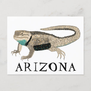 Desert Spiny Lizard ARIZONA Wilde Tierart Art Postkarte