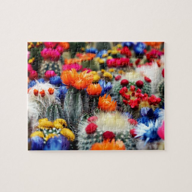 Desert suchient flowering cactus Fotopflanzen Puzzle (Horizontal)