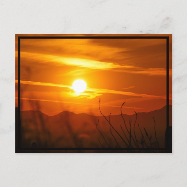 Desert Sun Postkarte (Vorderseite)