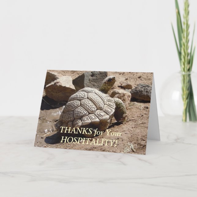 Desert Tortoise - Gastfreundschaft Vielen Dank Dankeskarte (Vorderseite)