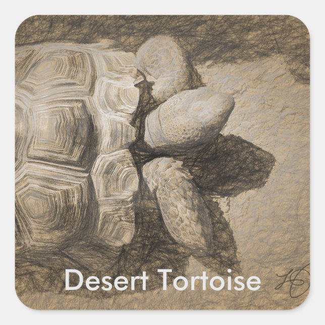 Desert Tortoise Stickers (Vorderseite)