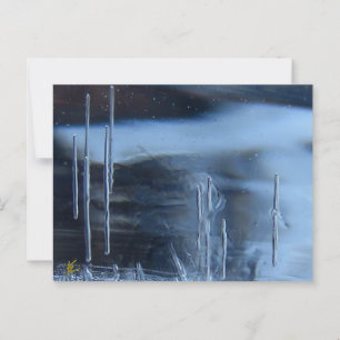 Desert Vision Quest, Saguaro bei Nacht Postkarte