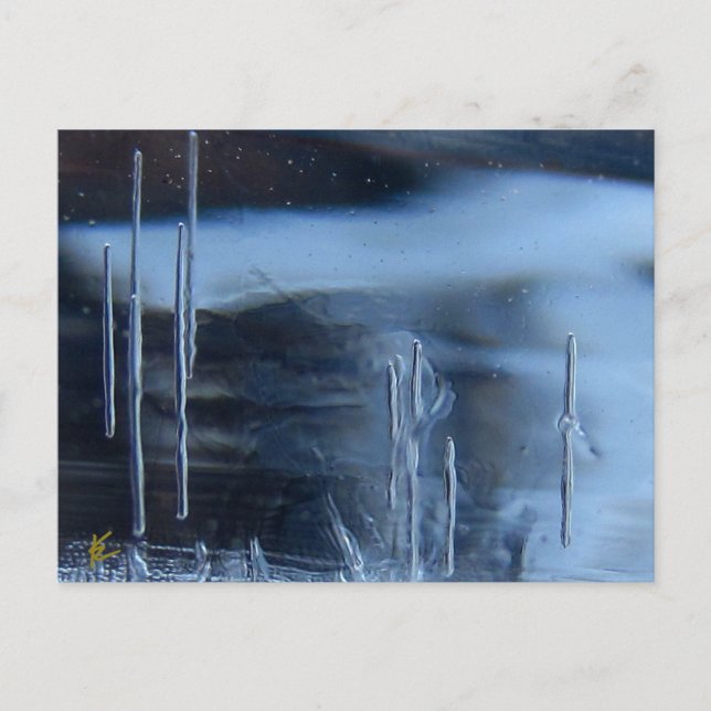 Desert Vision Quest, Saguaro bei Nacht Postkarte (Vorderseite)