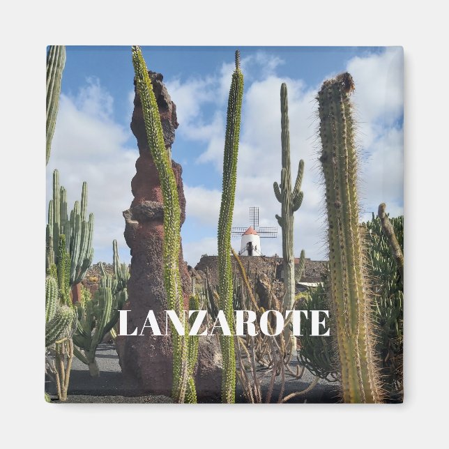 “Desert Windmill and Cactus” Magnet (Vorne)