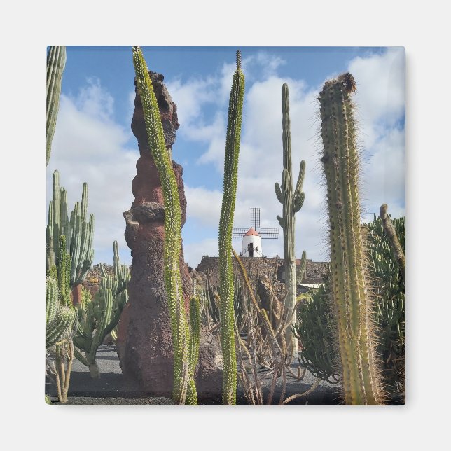 “Desert Windmill and Cactus” Magnet (Vorne)