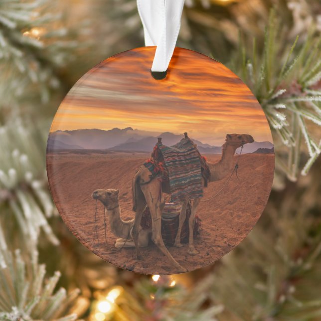 Deserts | Bactrian Camel Egypt Sand Dune Ornament (Baum)