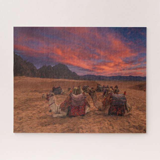 Deserts Camels Sinai Mountains Egypt Puzzle (Horizontal)