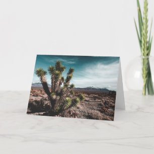Deserts   Cholla Cactus Karte