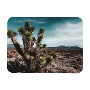Deserts Cholla Cactus Magnet