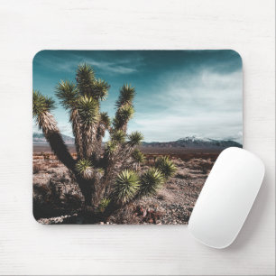 Deserts   Cholla Cactus Mousepad