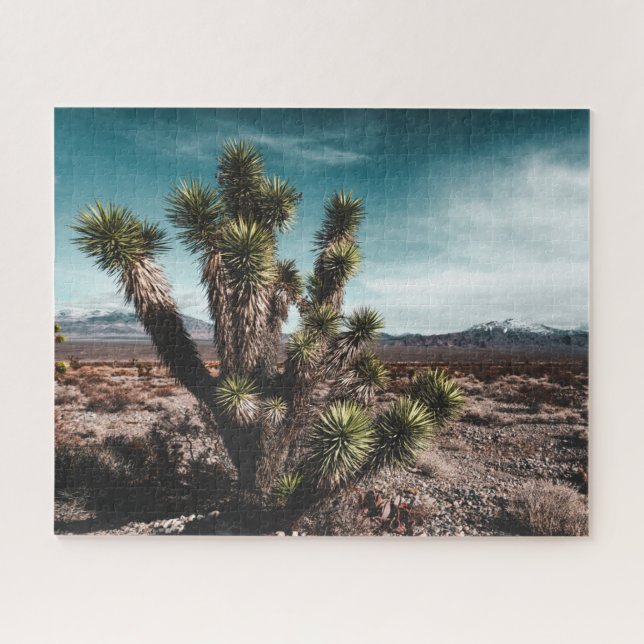 Deserts | Cholla Cactus Puzzle (Horizontal)