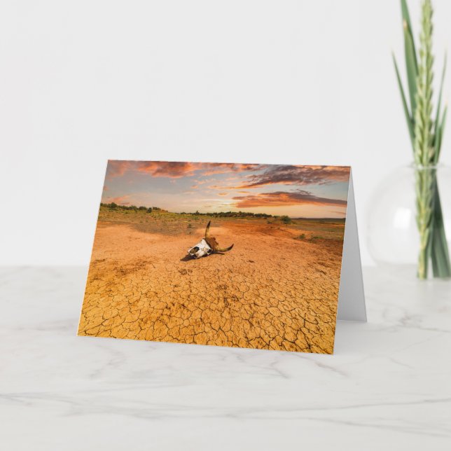 Deserts | Desert with Cow Skull Karte (Vorderseite)