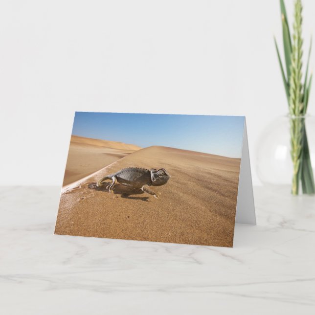 Deserts | Namaqua Chameleon in Desert Karte (Vorderseite)