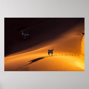 Deserts Namib Naukluft National Park Kenya Poster