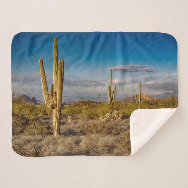 Deserts | Superstition Mountains, Arizona Sherpadecke (Vorderseite (Horizontal))