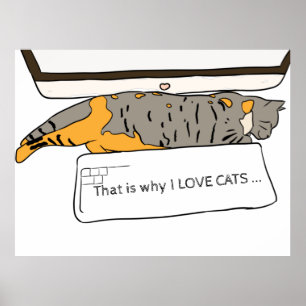 Deshalb Liebe wir Cats Poster