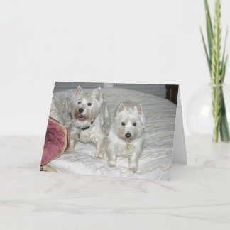 Desi und Lucy Karte