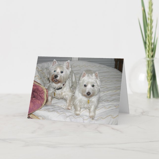Desi und Lucy Karte (Vorderseite)
