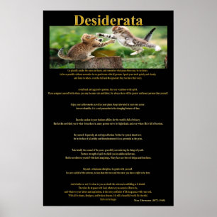 Desiderata Cat Fight Posters 1a Poster
