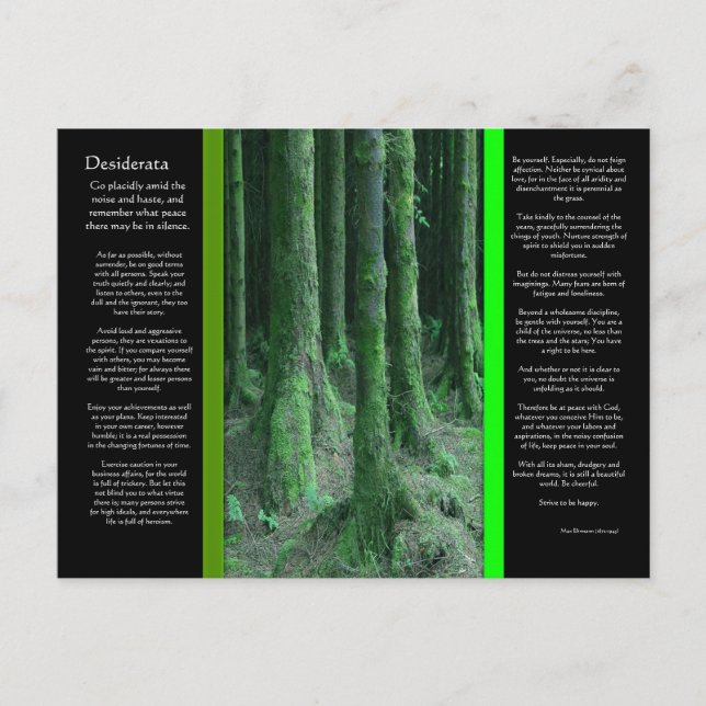 DESIDERATA Dark Mossy Forest Postcard Postkarte (Vorderseite)