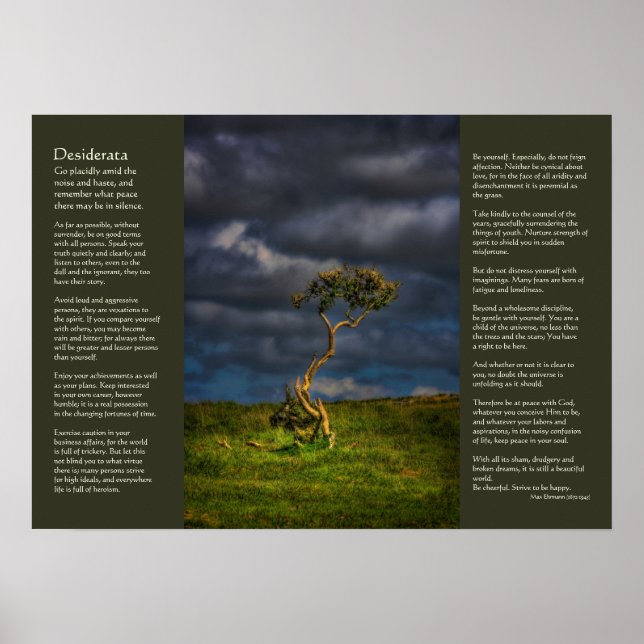 Desiderata - Der letzte Überlebende Poster (Vorne)