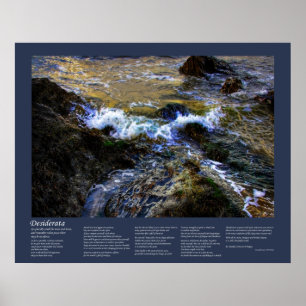 Desiderata - Die Eager-Flut Poster