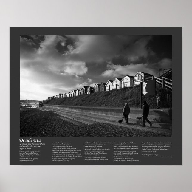 Desiderata - Die Hunde wecken Poster (Vorne)