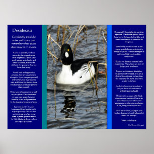 DESIDERATA - Duckposter 2 Poster