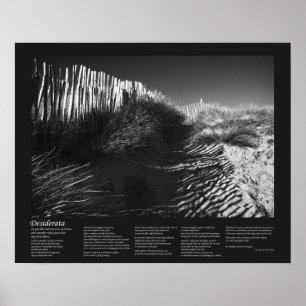 Desiderata Gedicht - Fencing in Dunes, Fine Art Poster