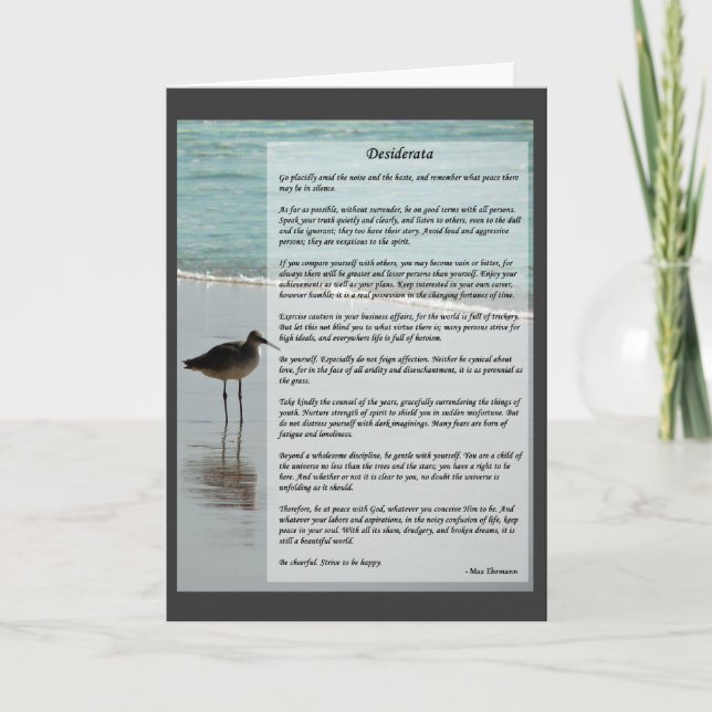 Desiderata Gedicht - Seagull am Strand Karte (Vorderseite)