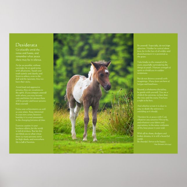 Desiderata Gedicht - Stehender Dartmoor Pony Foal Poster (Vorne)