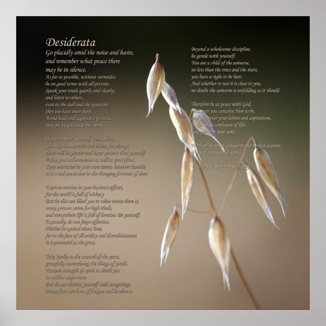 Desiderata Gedicht über die Früchte des wilden Haf Poster (Vorne)