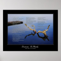 Desiderata Geem - Stil der Lärm- und Stöckelgaleri