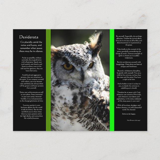 DESIDERATA Great Horn Owl Postkarte 2 (Vorderseite)