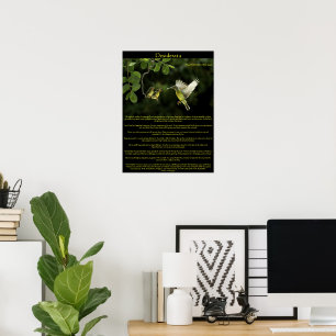 Desiderata Hummingbird mit Säuglingen Poster