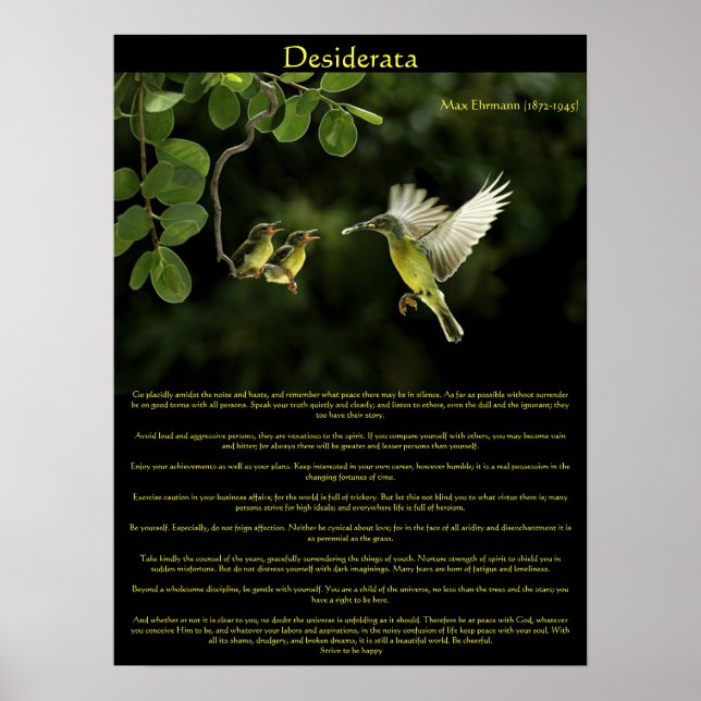 Desiderata Hummingbird Posters 3 Poster (Vorne)