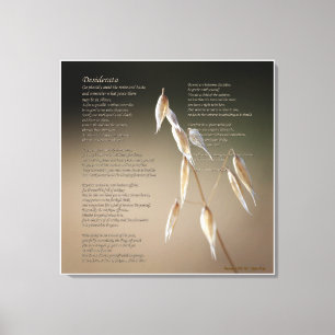 Desiderata on Wild Oat - LARGE Leinwanddruck