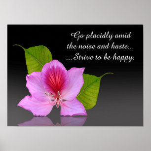 Desiderata orchid art photography Inspirational Poster