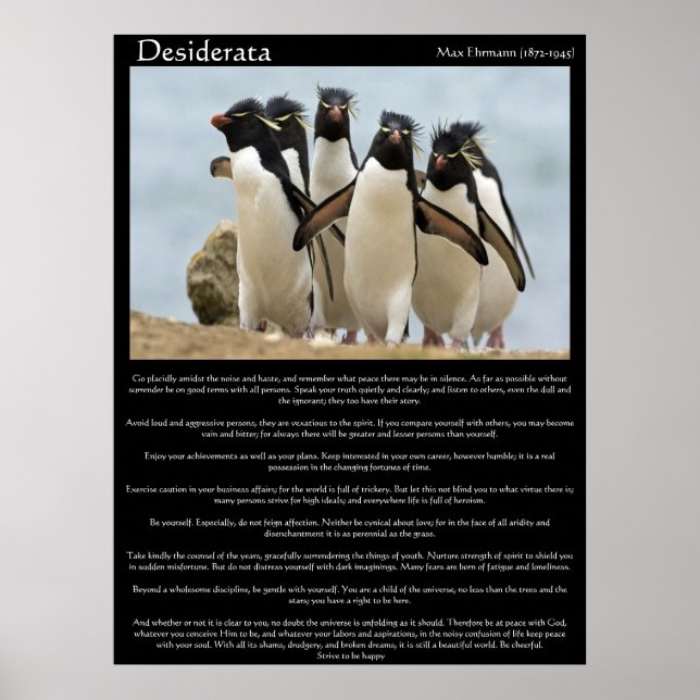 Desiderata Penguins Walking Posters Poster (Vorne)