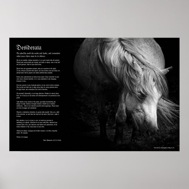 Desiderata - Pony Head and Mane von Fine Art Pony Poster (Vorne)