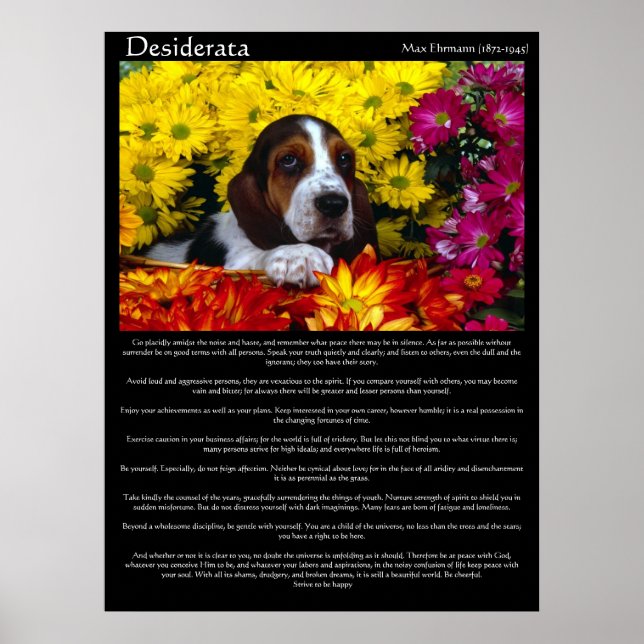 Desiderata Posters 6 Poster (Vorne)